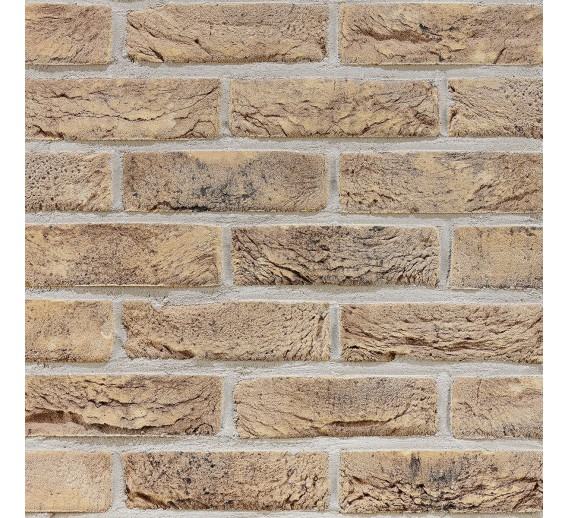 Statybinės medžiagos. Plytos. Apdailinės plytos. Plyta Abote WFD Wienerberger 215x102x65 mm 