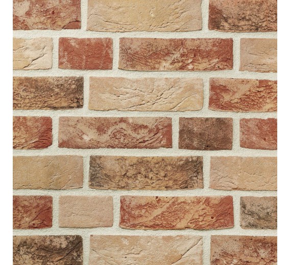 Statybinės medžiagos. Plytos. Apdailinės plytos. Plyta Wienerberger Aurora WDF215 215x102x65 mm 