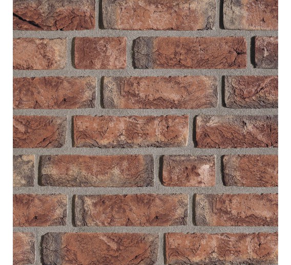 Statybinės medžiagos. Plytos. Apdailinės plytos. Plyta Wienerberger Trentino WDF65 215x102x65 mm 