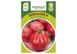 Pomidorai BORSALINA H, 5 sėklos 