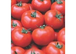 Sodo ir daržo prekės. Sėklos, daigyklos, durpinės tabletės. Pomidorų sėklos. Pomidorai Brooklyn F1 8s 