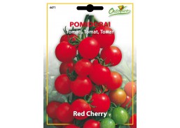 Pomidorai Red Cherry 