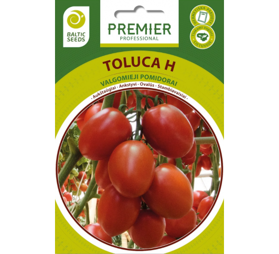 Sodo ir daržo prekės. Sėklos, daigyklos, durpinės tabletės. Vaistažolės. Pomidorai Toluca 8s