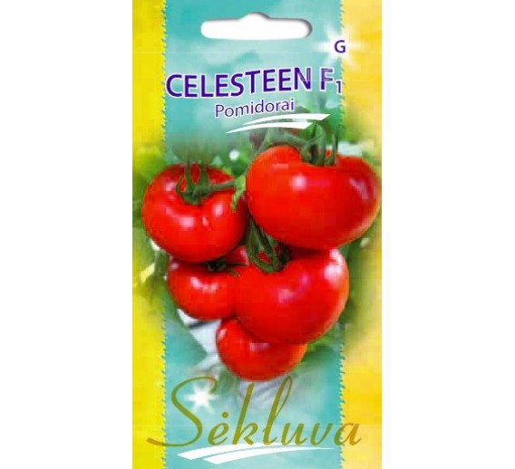 Pomidorų sėklos CELESTEEN F1