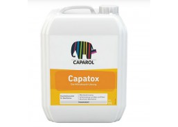 Priemonė dumbliams ir pelėsiui naikinti Capatox 10 Caparol 10L 
