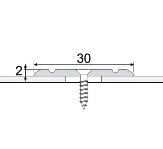 Vidaus apdailos prekės. Apdailos, sujungimo profiliai. Slenkstukai grindų sujungimui. Profilis šampaninis A02 180cm 30x2mm 