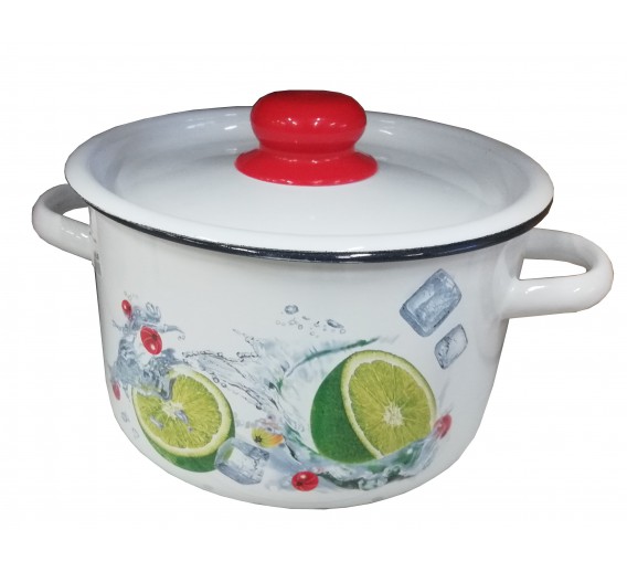 Puodas emaliuotas su dekoru, 2,9l 
