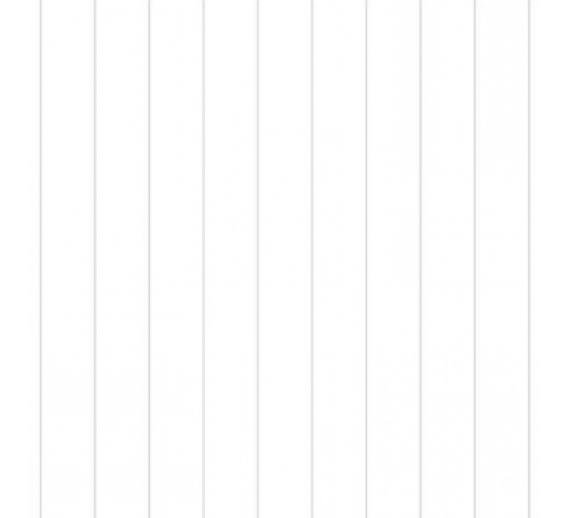 Vidaus apdailos prekės. Sienų apdailos medžiagos. PVC lentelės. PVC dailylentė VOX ECOLINE balta 25x265 cm