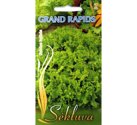 Sodo ir daržo prekės. Sėklos, daigyklos, durpinės tabletės. Ridikėliai, salotos. Salotų sėklos GRAND RAPIDS