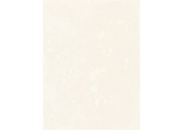 Sienų plytelės TANI BEIGE 25x33,3 cm 