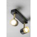 Apšvietimas. Kryptiniai šviestuvai. Šviestuvas ORIO JUODAS 2x50W GTV SV62107  kaina