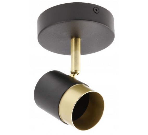 Apšvietimas. Kryptiniai šviestuvai. Šviestuvas ORIO JUODAS 50W GTV SV62106 