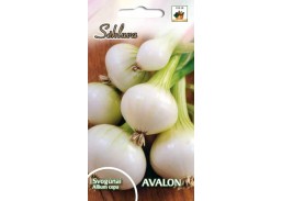 Sodo ir daržo prekės. Sėklos, daigyklos, durpinės tabletės. Svogūnų sėklos ir sodinukai. Svogūnai Allium cepa AVALON