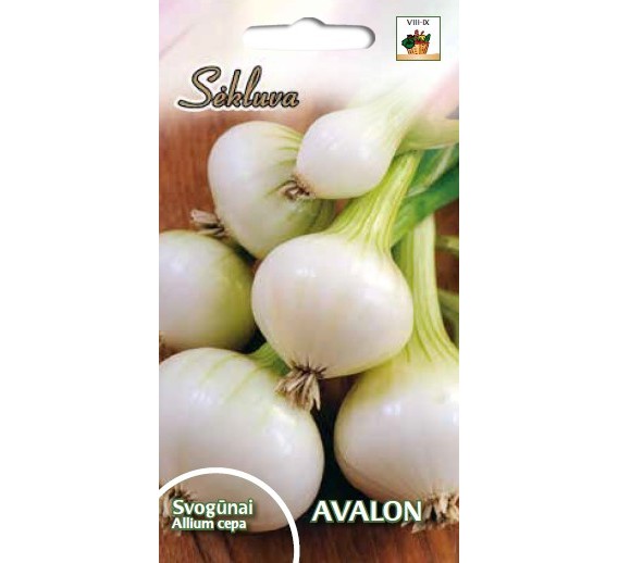 Sodo ir daržo prekės. Sėklos, daigyklos, durpinės tabletės. Svogūnų sėklos ir sodinukai. Svogūnai Allium cepa AVALON