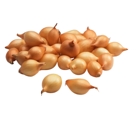 Sodo ir daržo prekės. Sėklos, daigyklos, durpinės tabletės. Svogūnų sėklos ir sodinukai. Svogūnų sodinukai Cupido 1 kg 