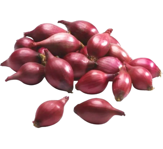 Sodo ir daržo prekės. Sėklos, daigyklos, durpinės tabletės. Svogūnų sėklos ir sodinukai. Svogūnų sodinukai Red karmen 0,5 kg 