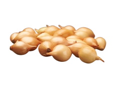 Sodo ir daržo prekės. Sėklos, daigyklos, durpinės tabletės. Svogūnų sėklos ir sodinukai. Svogūnų sodinukai Setton 0,5 kg 