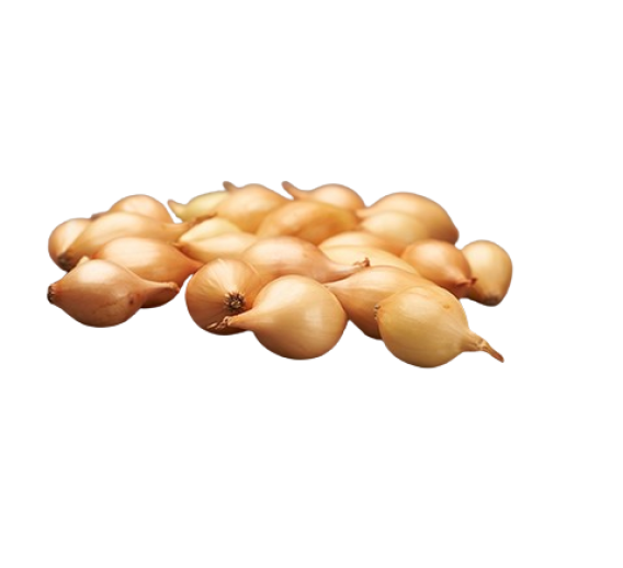 Sodo ir daržo prekės. Sėklos, daigyklos, durpinės tabletės. Svogūnų sėklos ir sodinukai. Svogūnų sodinukai Setton 1 kg 