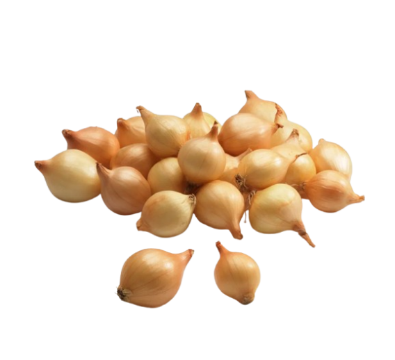 Sodo ir daržo prekės. Sėklos, daigyklos, durpinės tabletės. Svogūnų sėklos ir sodinukai. Svogūnų sodinukai Sturon 1 kg 
