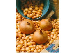 Svogūnų sodinukai Sturon 14x21, 1 kg 