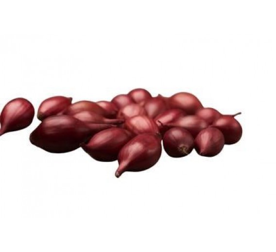 Sodo ir daržo prekės. Sėklos, daigyklos, durpinės tabletės. Svogūnų ir česnakų sodinukai, sėklos. Svogūnų sodinukai žieminiai AKADO 14-21 mm 