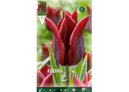 Sodo ir daržo prekės. Sėklos, daigyklos, durpinės tabletės. Gėlių sėklos. Tulpės Lily flowering Lasting Love 7sv