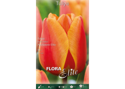 Sodo ir daržo prekės. Sėklos, daigyklos, durpinės tabletės. Gėlių sėklos. Tulpės Tulipa Darwin H Apeldoorn Elite 10sv