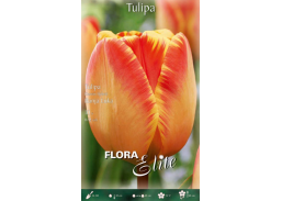 Sodo ir daržo prekės. Sėklos, daigyklos, durpinės tabletės. Gėlių sėklos. Tulpės Tulipa Darwin H Banja Luka 10sv