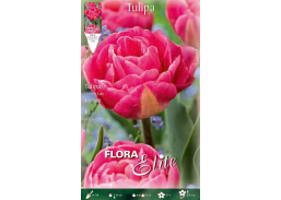 Sodo ir daržo prekės. Sėklos, daigyklos, durpinės tabletės. Gėlių sėklos. Tulpės Tulipa Double Late Vogue 7sv