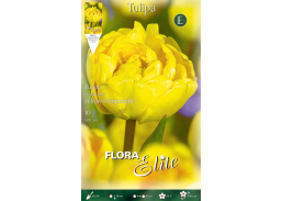 Sodo ir daržo prekės. Sėklos, daigyklos, durpinės tabletės. Gėlių sėklos. Tulpės Tulipa Double Late Yellow Pompenet 7sv