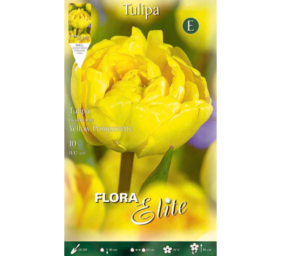 Sodo ir daržo prekės. Sėklos, daigyklos, durpinės tabletės. Gėlių sėklos. Tulpės Tulipa Double Late Yellow Pompenet 7sv