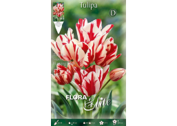 Sodo ir daržo prekės. Sėklos, daigyklos, durpinės tabletės. Gėlių sėklos. Tulpės Tulipa Flaming Club 7sv