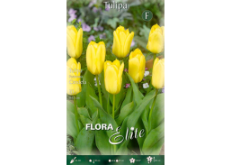 Sodo ir daržo prekės. Sėklos, daigyklos, durpinės tabletės. Gėlių sėklos. Tulpės Tulipa Fosteriana Candela 10sv