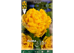 Sodo ir daržo prekės. Sėklos, daigyklos, durpinės tabletės. Gėlių sėklos. Tulpės Tulipa Fr.Double Egzotic Sun 5sv