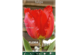 Sodo ir daržo prekės. Sėklos, daigyklos, durpinės tabletės. Gėlių sėklos. Tulpės Tulipa Fringed Crystal Beauty 7sv
