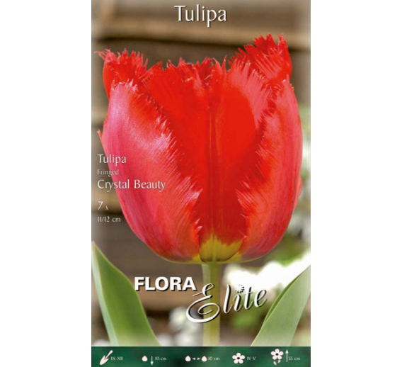 Sodo ir daržo prekės. Sėklos, daigyklos, durpinės tabletės. Gėlių sėklos. Tulpės Tulipa Fringed Crystal Beauty 7sv