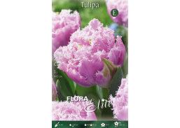 Sodo ir daržo prekės. Sėklos, daigyklos, durpinės tabletės. Gėlių sėklos. Tulpės Tulipa Fringed Double Cairns 5sv