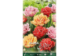 Sodo ir daržo prekės. Sėklos, daigyklos, durpinės tabletės. Gėlių sėklos. Tulpės Tulipa Fringed Double Mixed 5sv