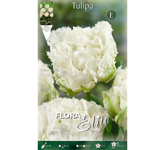 Sodo ir daržo prekės. Sėklos, daigyklos, durpinės tabletės. Gėlių sėklos. Tulpės Tulipa Fringed Double Snow Cry 5sv