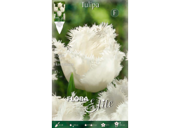 Sodo ir daržo prekės. Sėklos, daigyklos, durpinės tabletės. Gėlių sėklos. Tulpės Tulipa Fringed Honeymoon 7sv