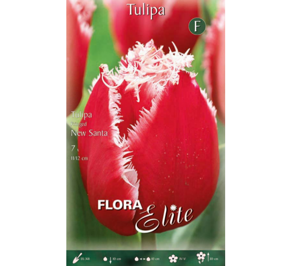 Sodo ir daržo prekės. Sėklos, daigyklos, durpinės tabletės. Gėlių sėklos. Tulpės Tulipa Fringed New Santa 7sv