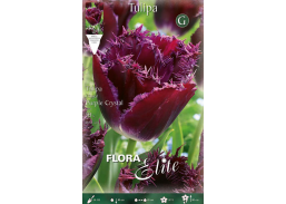 Sodo ir daržo prekės. Sėklos, daigyklos, durpinės tabletės. Gėlių sėklos. Tulpės Tulipa Fringed Purple Crystal 7sv