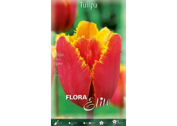 Sodo ir daržo prekės. Sėklos, daigyklos, durpinės tabletės. Gėlių sėklos. Tulpės Tulipa Fringed Tiano 7sv