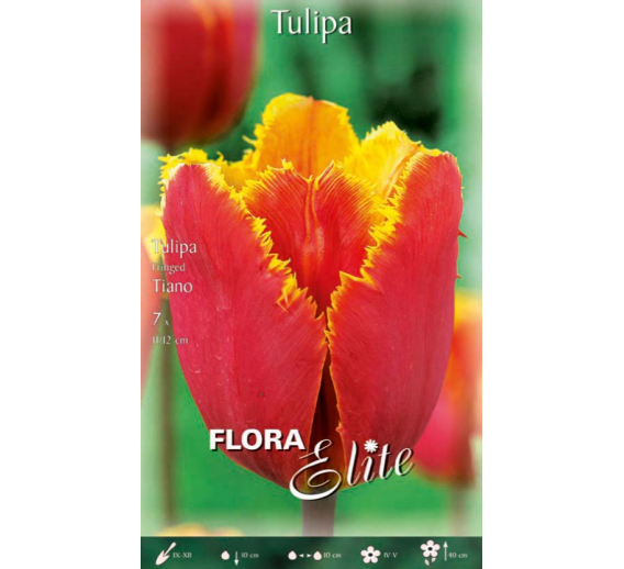 Sodo ir daržo prekės. Sėklos, daigyklos, durpinės tabletės. Gėlių sėklos. Tulpės Tulipa Fringed Tiano 7sv