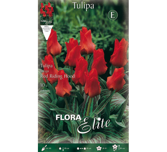 Sodo ir daržo prekės. Sėklos, daigyklos, durpinės tabletės. Gėlių sėklos. Tulpės Tulipa Greigii Red Riding Hood 10sv