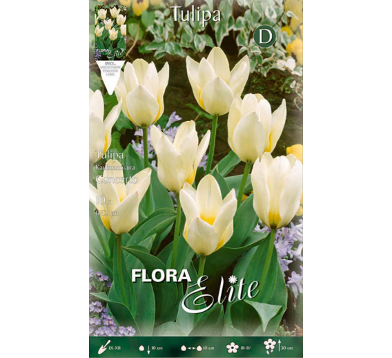 Sodo ir daržo prekės. Sėklos, daigyklos, durpinės tabletės. Gėlių sėklos. Tulpės Tulipa Kaufmanniana Concerto 10sv