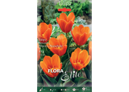 Sodo ir daržo prekės. Sėklos, daigyklos, durpinės tabletės. Gėlių sėklos. Tulpės Tulipa Kaufmanniana Princess Household 10sv