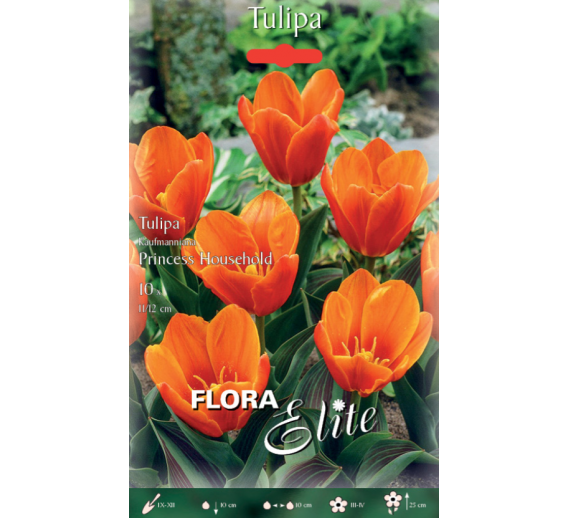 Sodo ir daržo prekės. Sėklos, daigyklos, durpinės tabletės. Gėlių sėklos. Tulpės Tulipa Kaufmanniana Princess Household 10sv