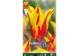 Sodo ir daržo prekės. Sėklos, daigyklos, durpinės tabletės. Gėlių sėklos. Tulpės Tulipa Lily flowered Firework 7sv