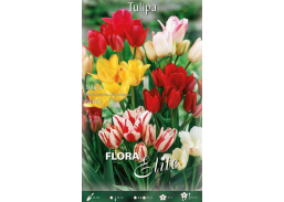 Sodo ir daržo prekės. Sėklos, daigyklos, durpinės tabletės. Gėlių sėklos. Tulpės Tulipa Longstemmed mixed 7sv